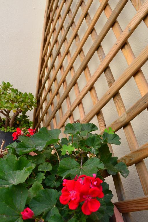 Anatolia Guest House Chania  Luaran gambar